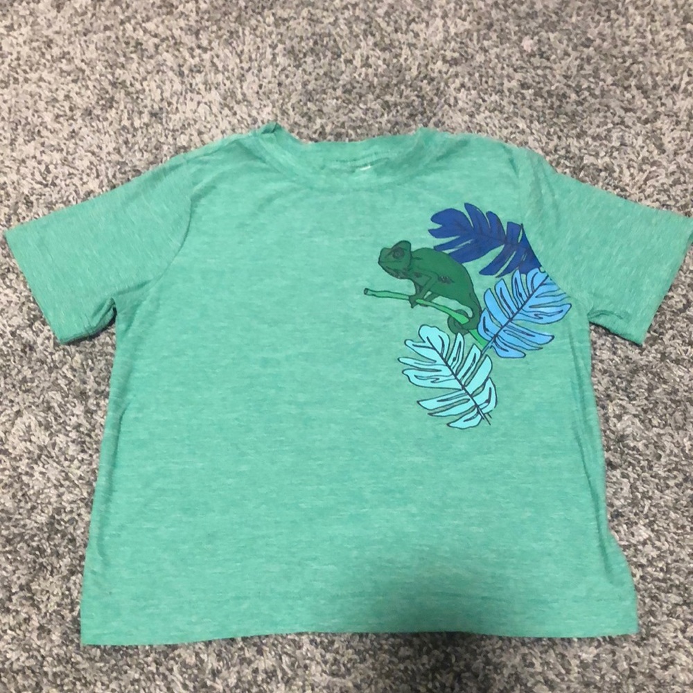 Soft green Hanna Andersson shirt